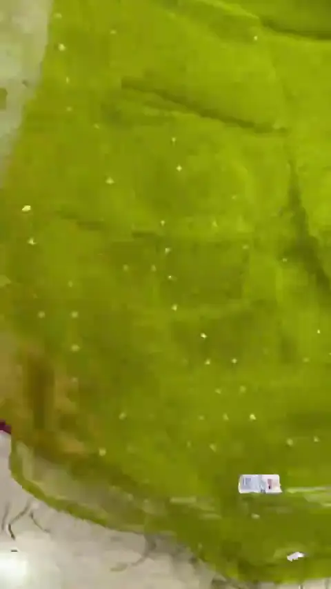 Muslin Sequence Saree 02 - Video